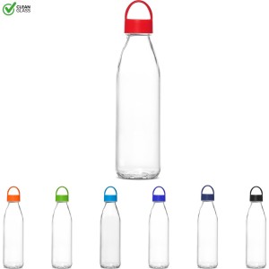 Kooshty Swing Glass Water Bottle - 650ml